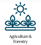 Screenshot 2026-01-31 025053